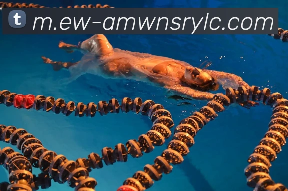 威尼斯人线上娱乐APP 封面图